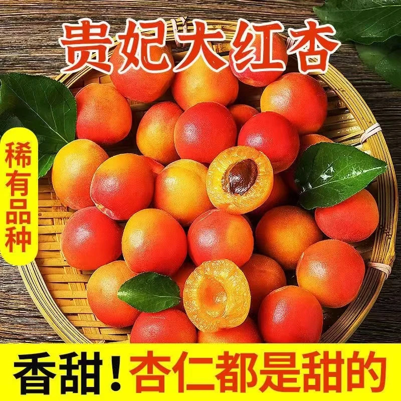 胭脂红杏当季新鲜贵妃红杏放软纯甜现摘现发香甜杏2/4斤整箱包邮