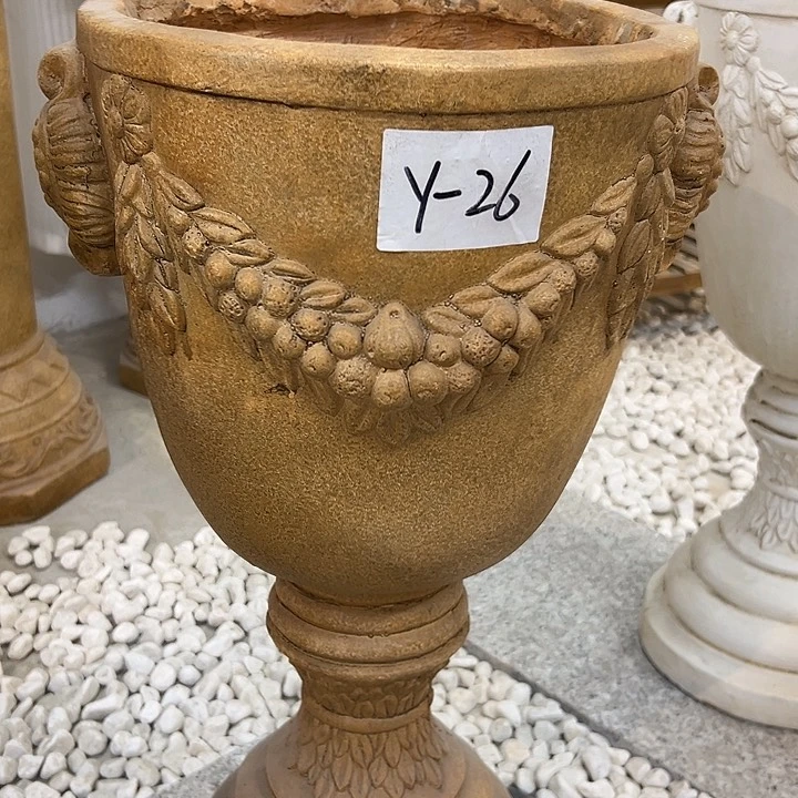 高59，口24.5，1738384884