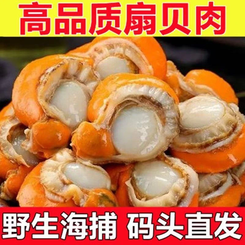 扇贝肉新鲜现剥巨无霸超大20-40规格0冰衣只只带黄带膏净重5斤/箱