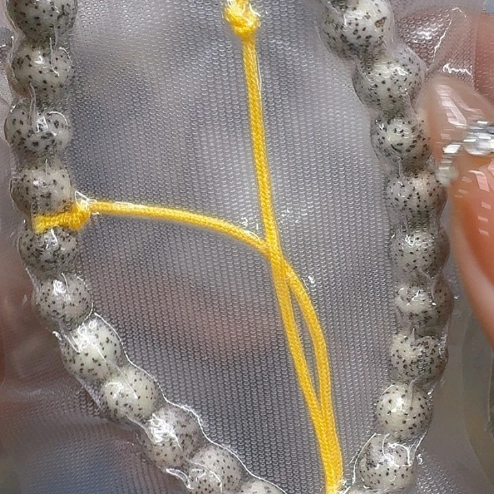 星月菩提手串508练手星月菩提0.9圆手持