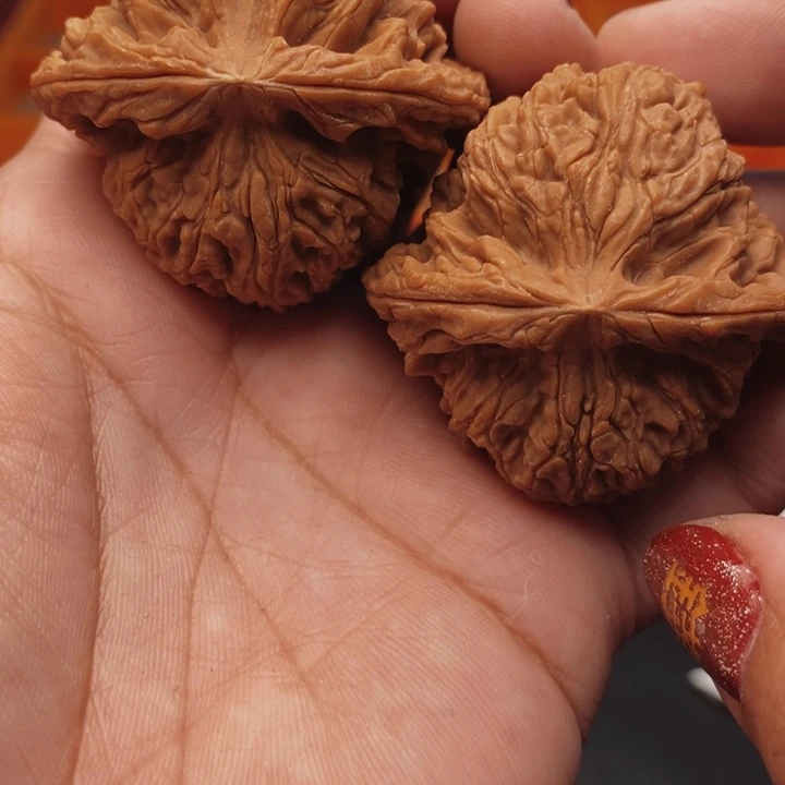 核桃南疆46尺核桃