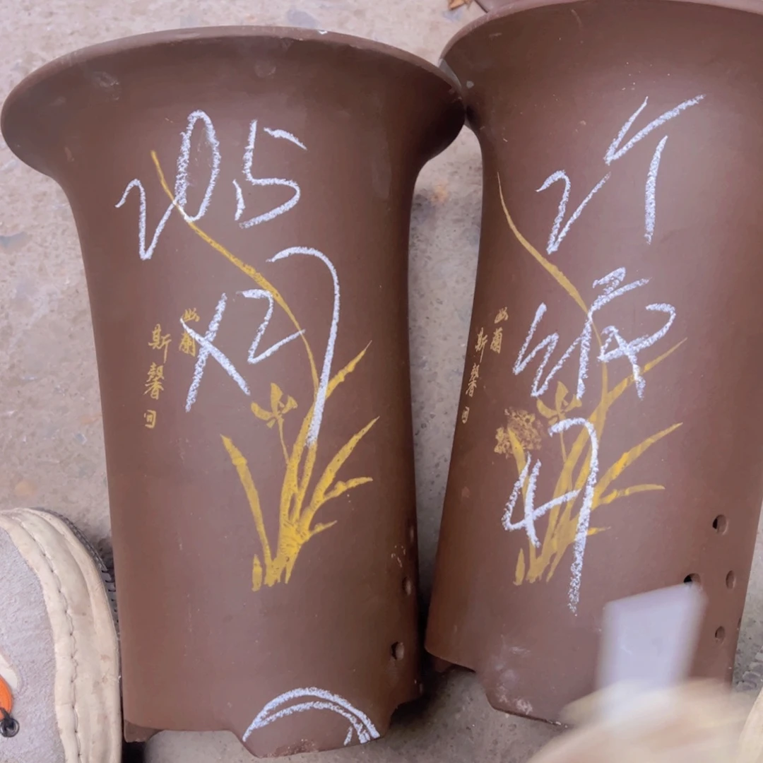 紫砂47………………………………