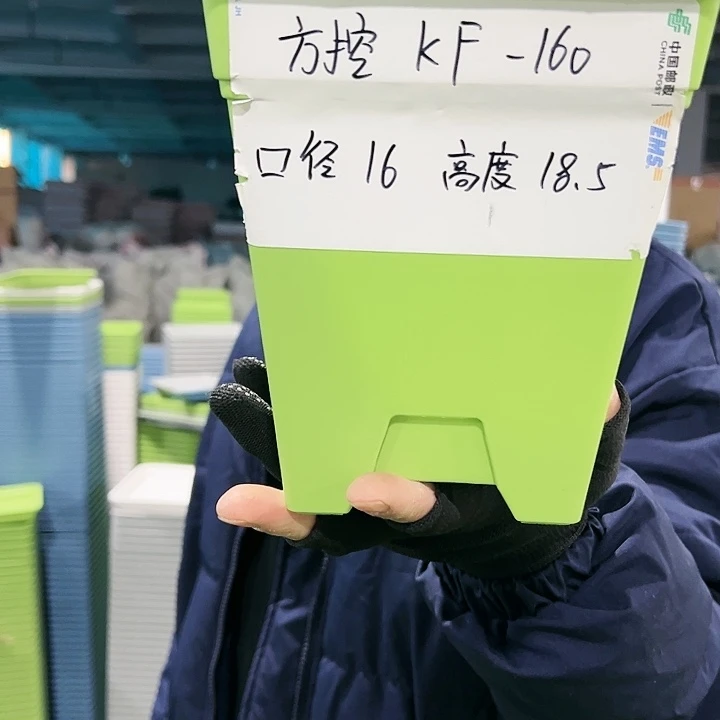 正品方盆口16高18果绿色5个无托