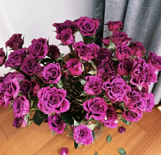 稀有紫色多头 玫瑰（实物以直播间的为主，介意勿拍）