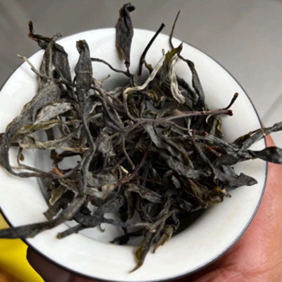 2025年4月16号采  红土地单株 晒青散茶