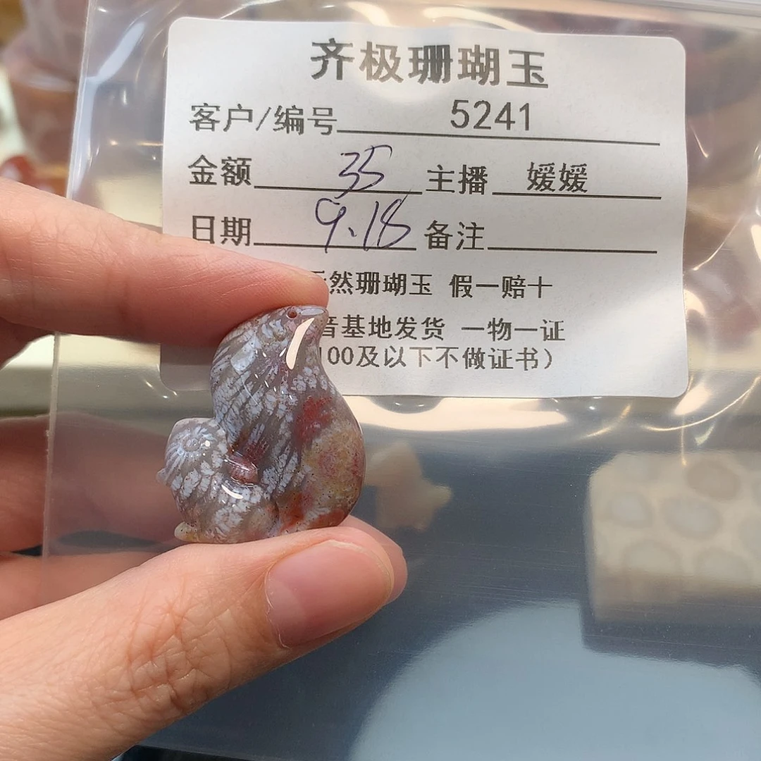 颈饰未镶嵌硅化珊瑚（珊瑚玉）小****8