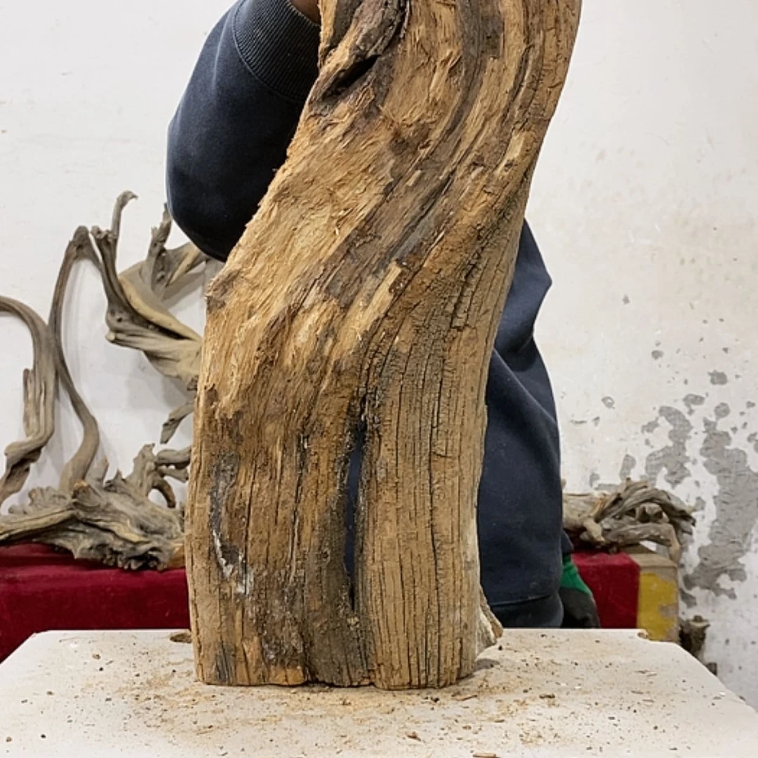 【闪购商品】柏木展****）我们都是好孩子