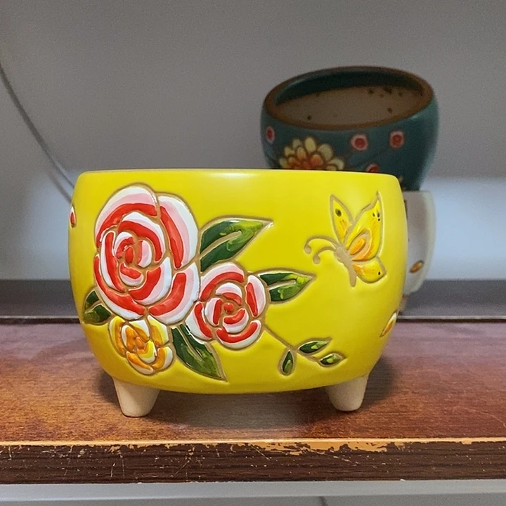 韩式多肉植物花盆