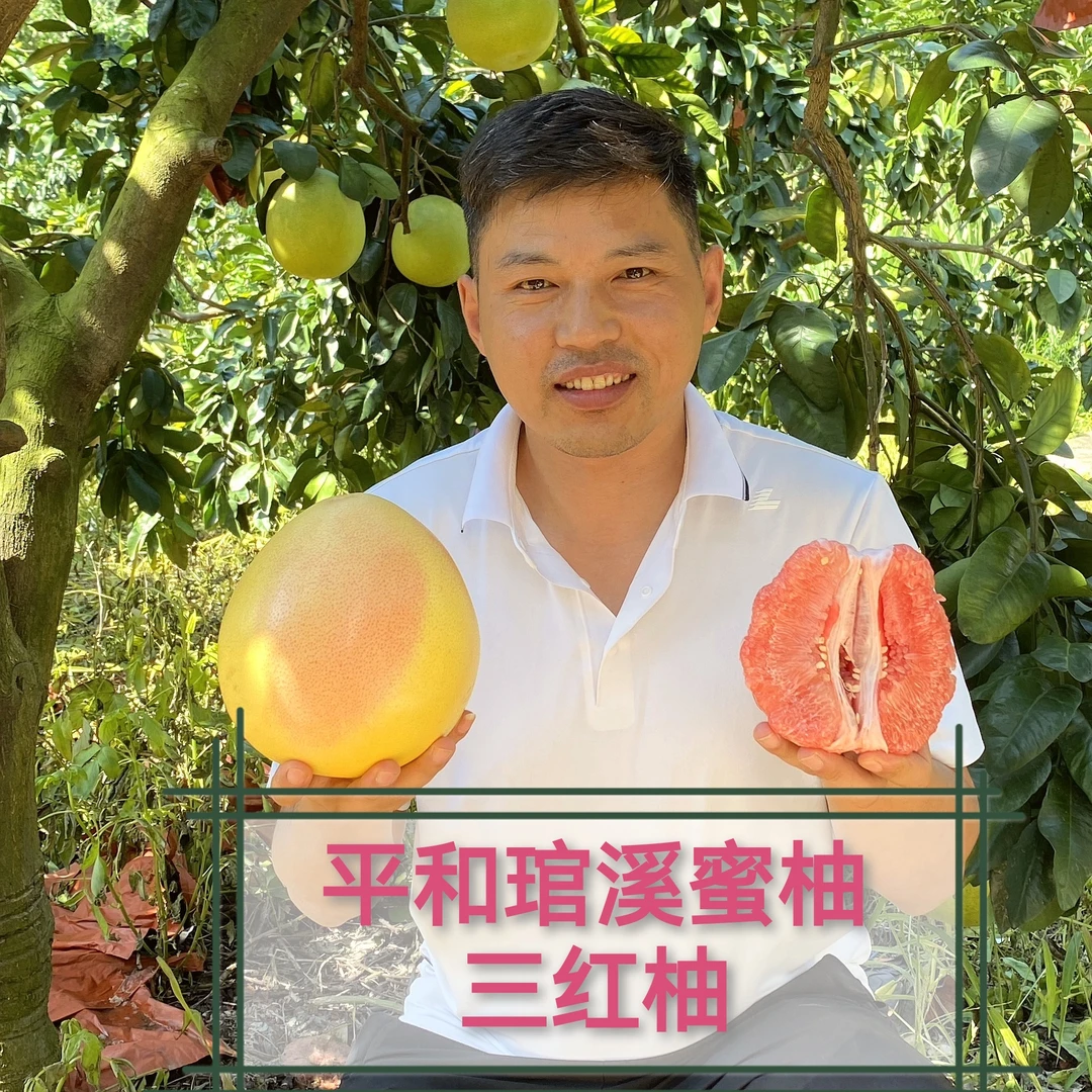 【涛子自营】福建平和琯溪蜜柚三红柚现摘现发