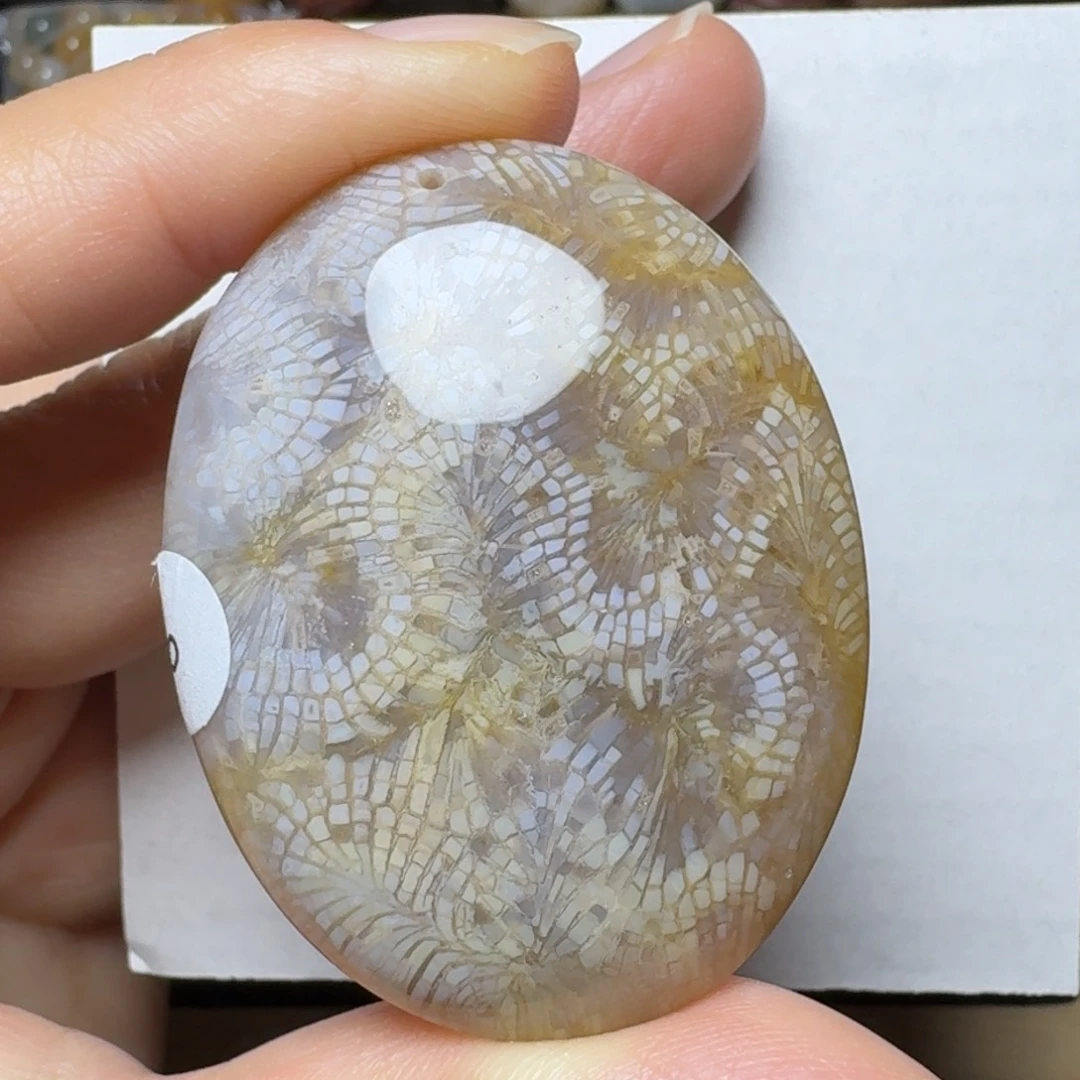 硅化玉蜿蜒的龙未镶嵌