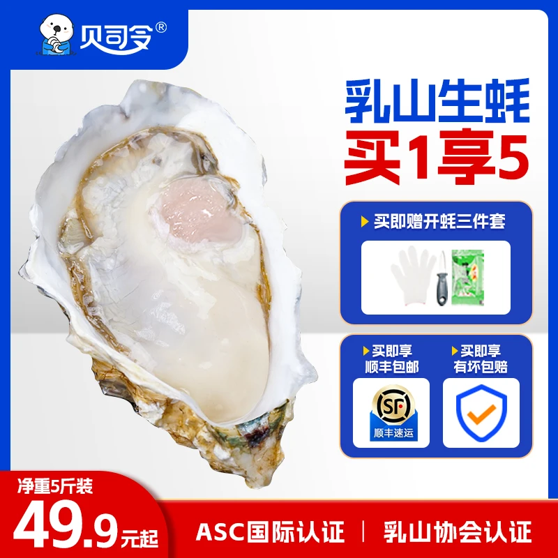 贝司令鲜活乳山生蚝1-5两/个 海鲜水产海蛎子新鲜大牡蛎5斤
