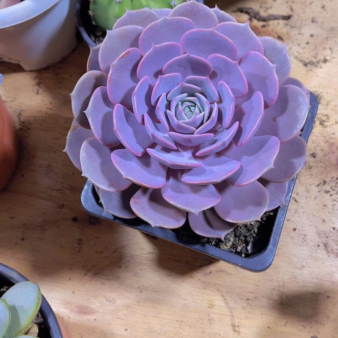 泉***水00000000000000149