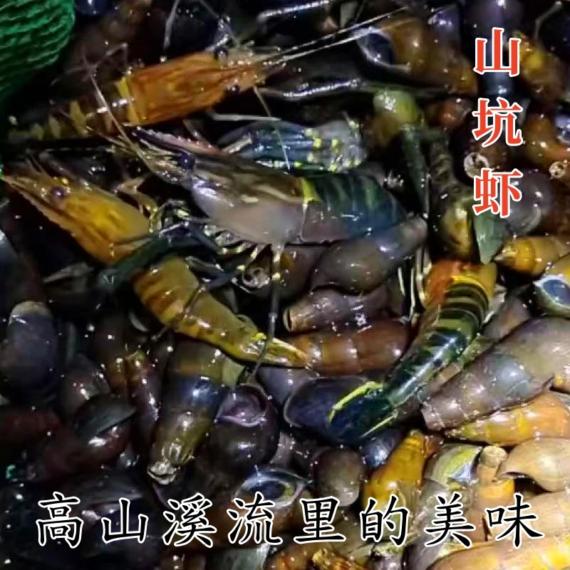 【山虾】高山溪流野捕冷水虾原生态山坑虾淡水活虾速冻顺丰发货