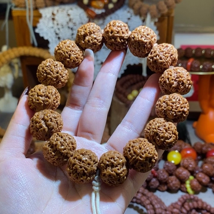 手串金刚菩提205原籽蜂王满肉一物