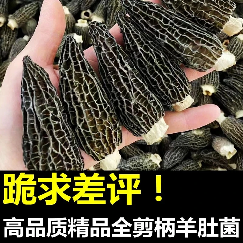 云南特产全剪柄头茬肉厚羊肚菌干货光帽批发炖汤火锅食材六妹菌类