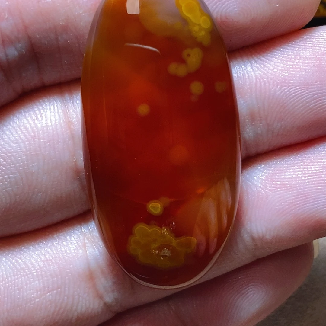 未镶嵌颈饰玛瑙/玉髓阳***Y