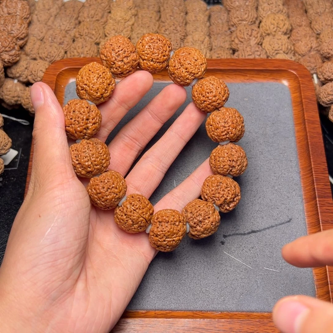 菩提2号尼泊尔大金刚23熊猫菠萝蜜