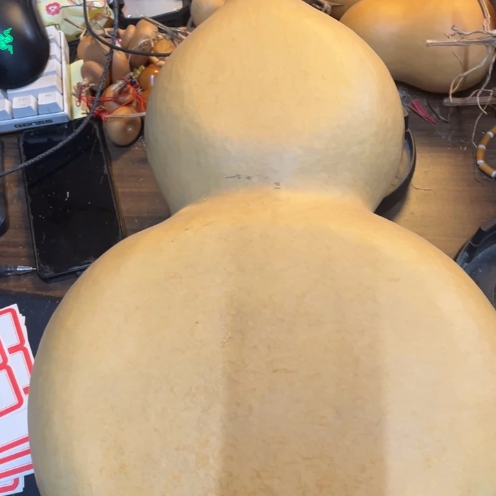 洋***娃有机玻璃我们的确是一群人在一起