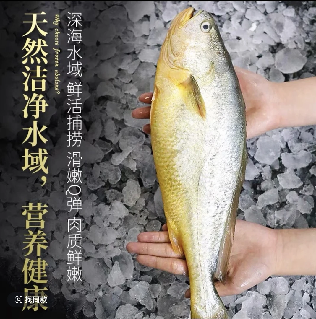 【京东包邮】黄花鱼新鲜冷冻生鲜水产大黄鱼鲜活冰鲜