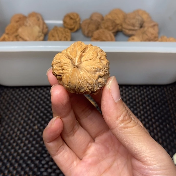 是***辰吊坠文玩核桃文玩核桃异形单只