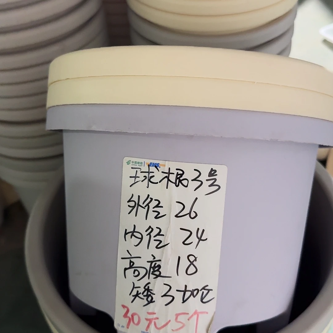 球根3#口径26高18无拖灰白6个