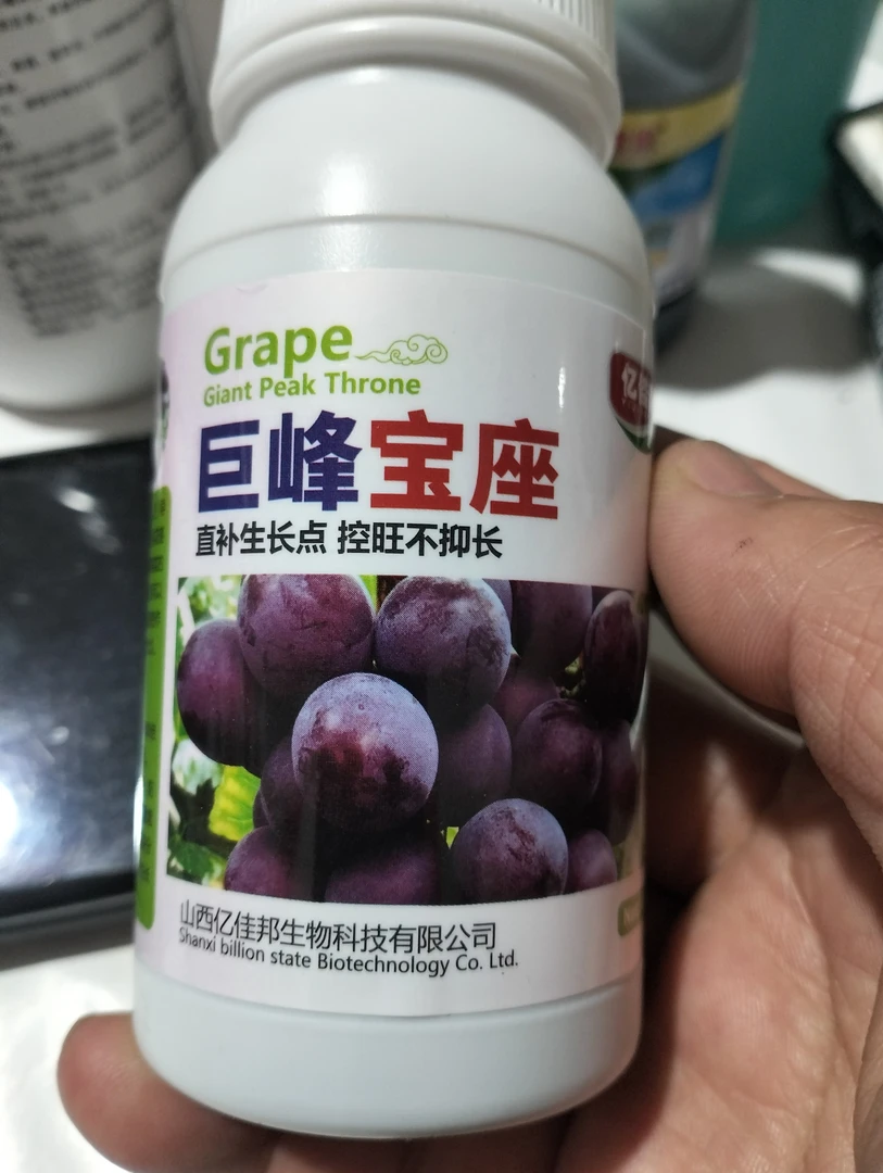 巨峰，户太，辽峰，甬优一号，巨玫瑰软梗座自然果