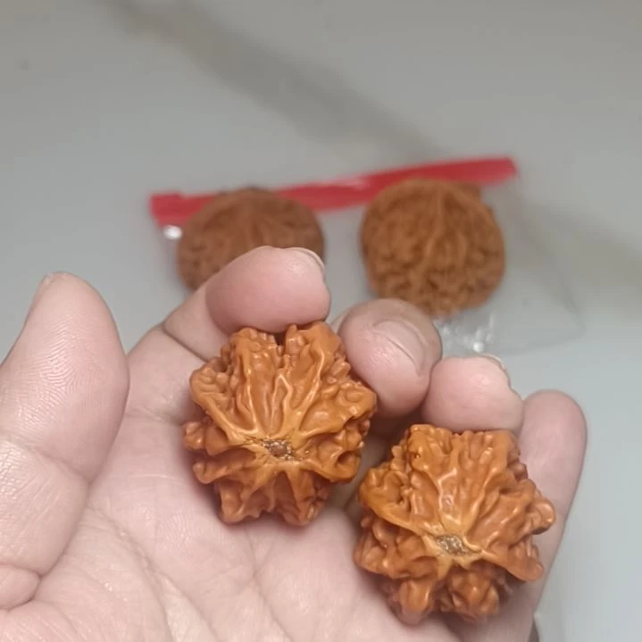 文玩核桃把件天****0霸王龙手捻