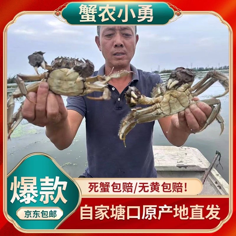 【活蟹】兴化大闸蟹母蟹3.6-3.4两公蟹4.7-4.4两8-10只精美礼盒冷链