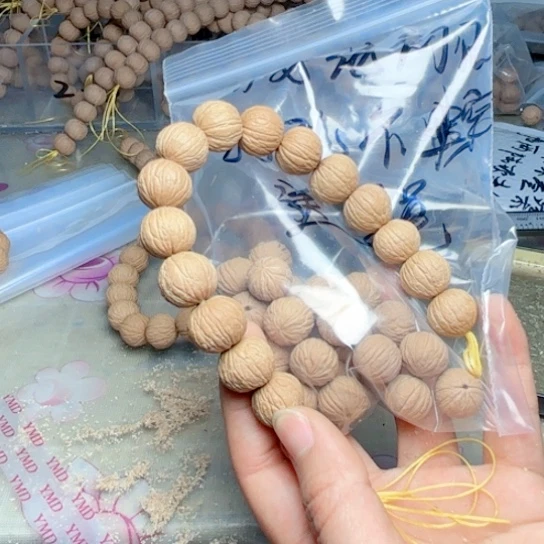 ∯****❀福希猴头土豪过筛