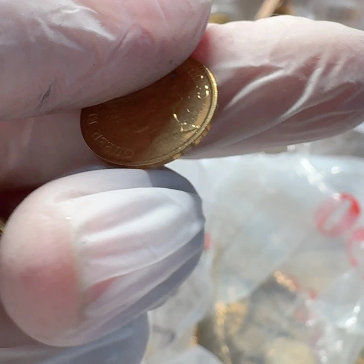 其他普通金属女王1豪新的币