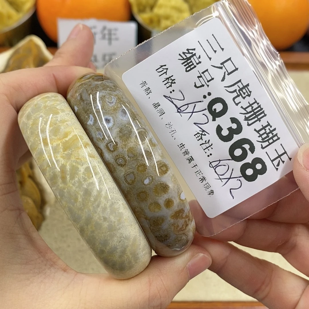 硅化珊瑚（珊瑚玉）1未镶嵌图*