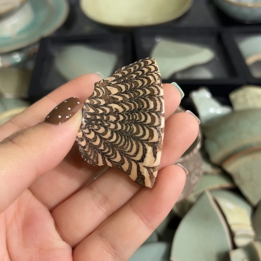 瓷片瓷瓷瓷瓷瓷瓷瓷瓷瓷