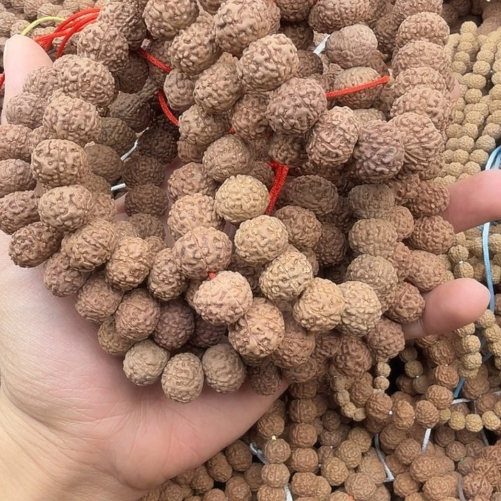 飞***鱼金刚菩提吊坠谢谢