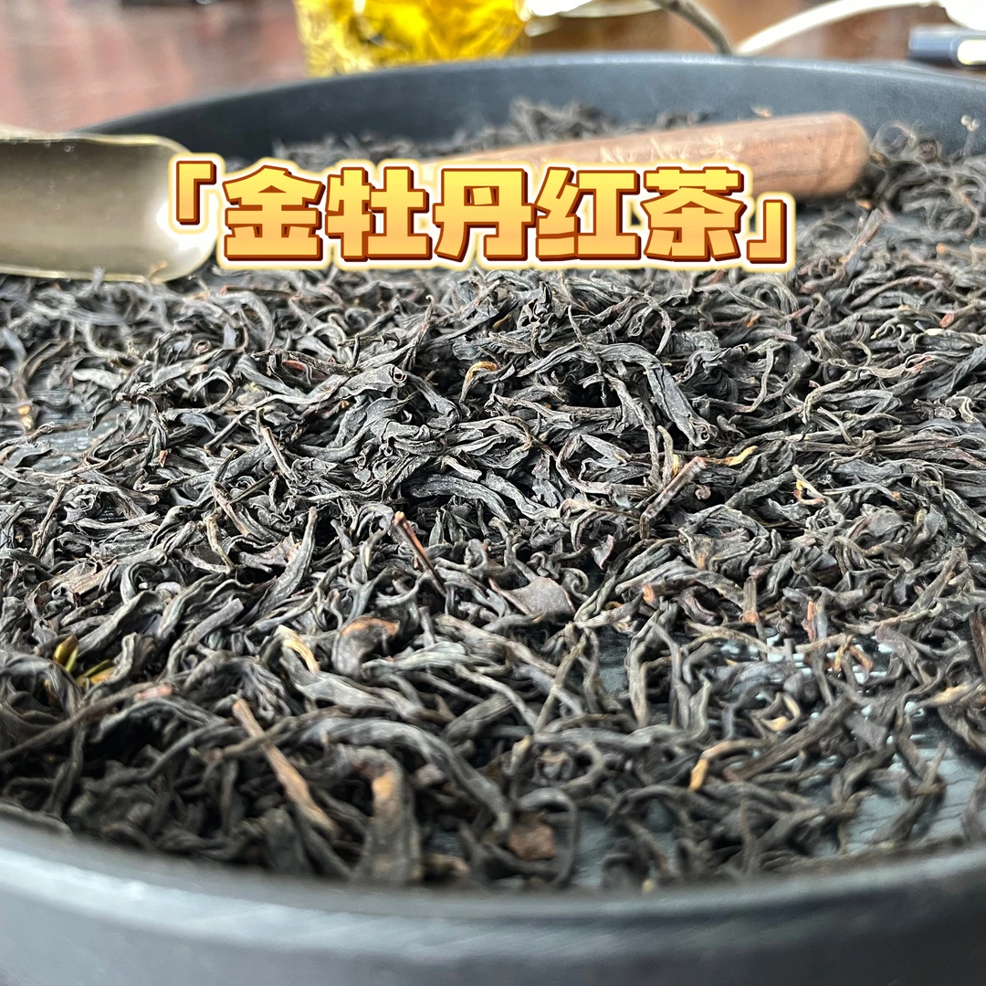 金牡丹红茶香浓耐泡水柔不苦不涩适合焖泡