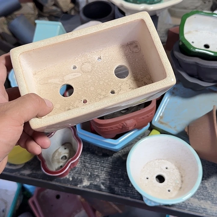 我想说什么都没有错呢