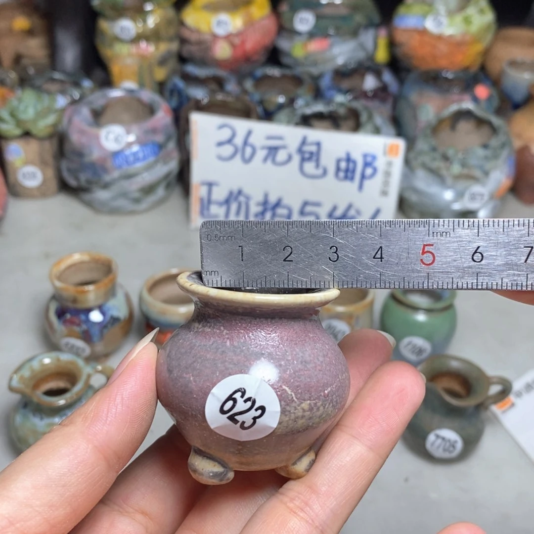 拍5送一个小礼物