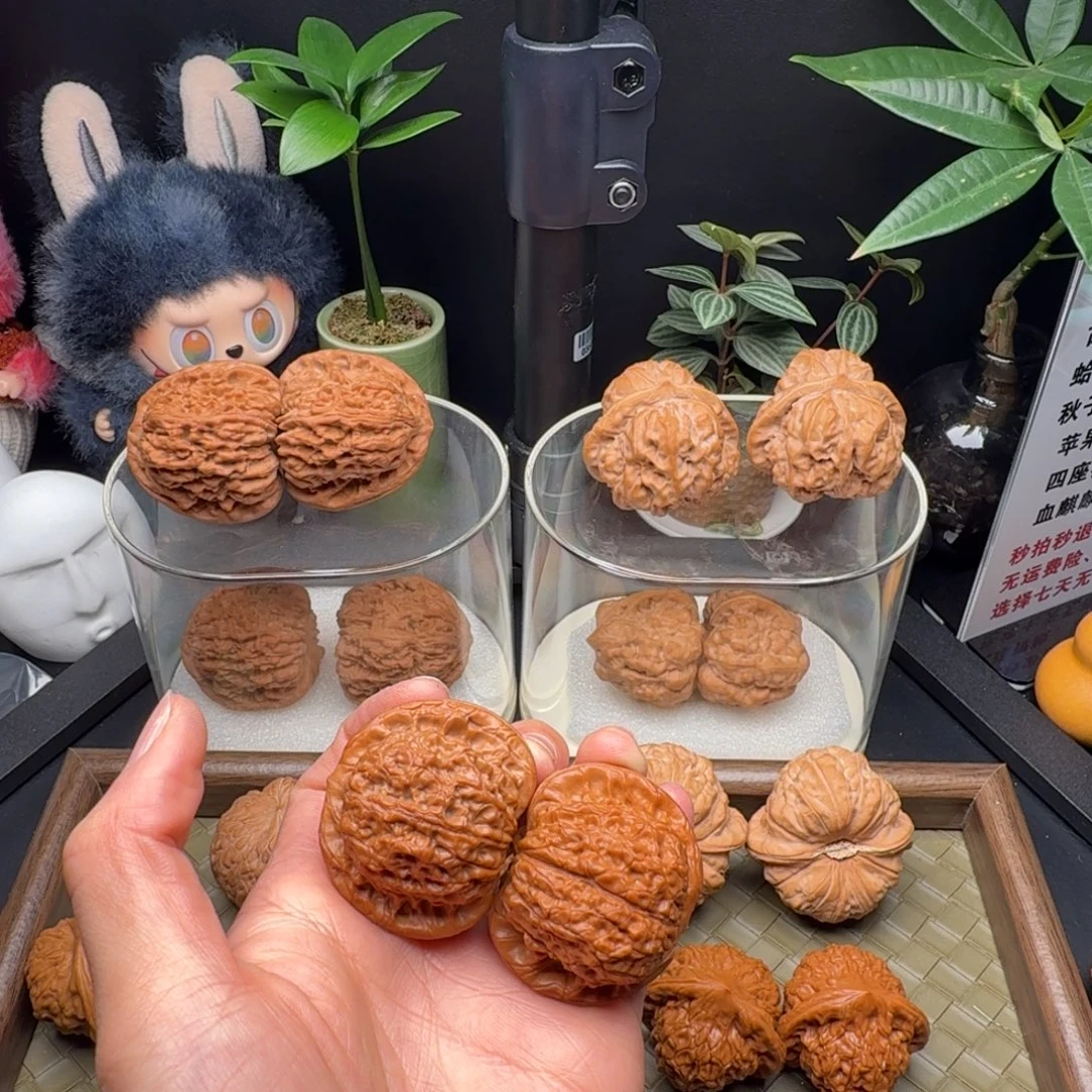 ㄧ***'龙脊菩提把件血麒麟40（微微修）