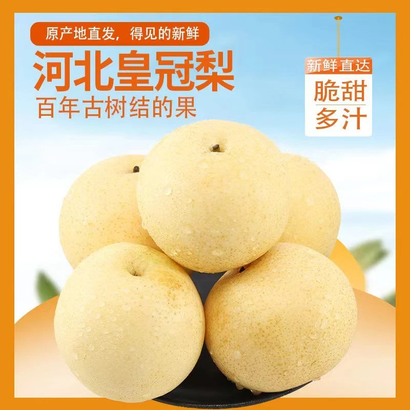 正宗河北皇冠梨脆甜多汁当季新鲜水果