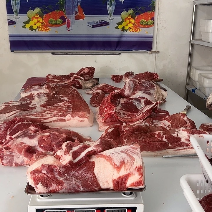 冷冻保存6个月中国大陆包装