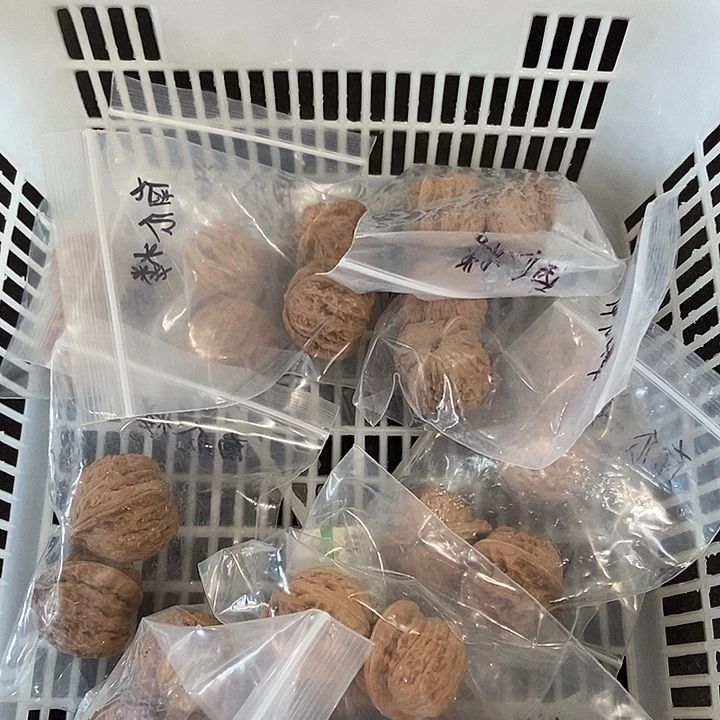 吊坠文玩核桃南瓜楼团购