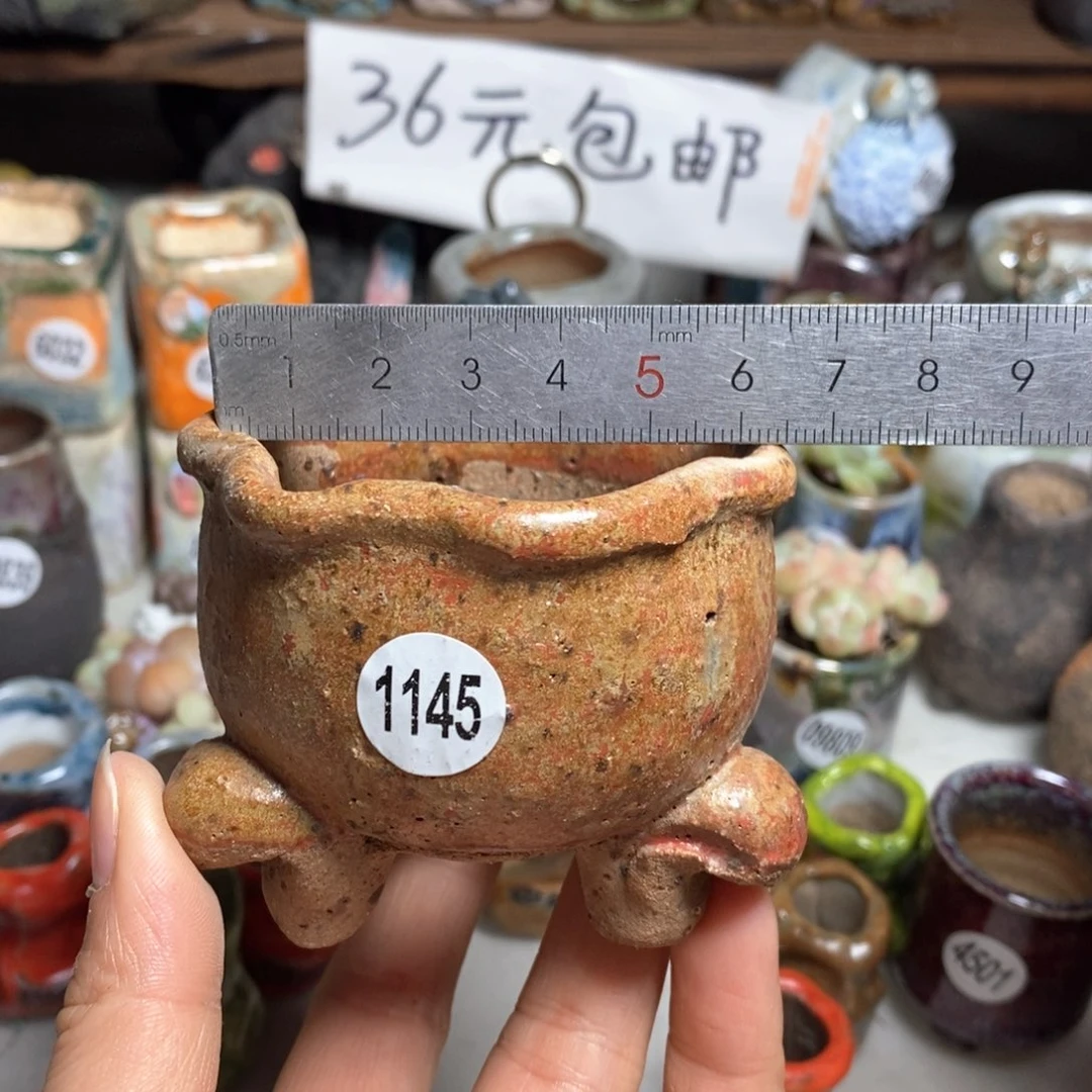 花盆拍3送个9·9的盆，拍5送同款