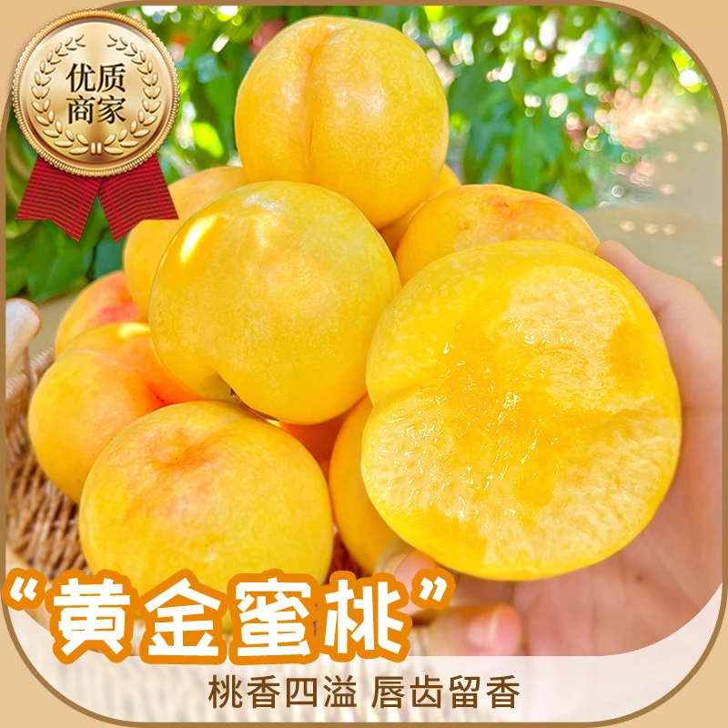 【顺丰包邮】黄金蜜桃芒果桃脆甜新鲜采摘黄桃东北特产丹东水果桃子