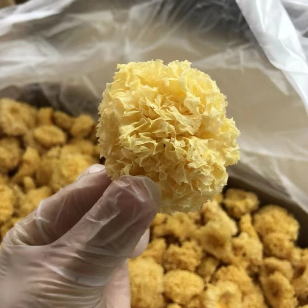 古田小朵银耳干货炖煮甜品软糯出胶快适合做莲子羹