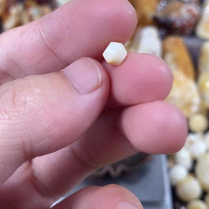 裸石琥珀未镶嵌我