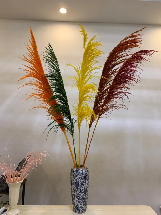 永生花芦苇混色 3单1运费 图片长度1.3m