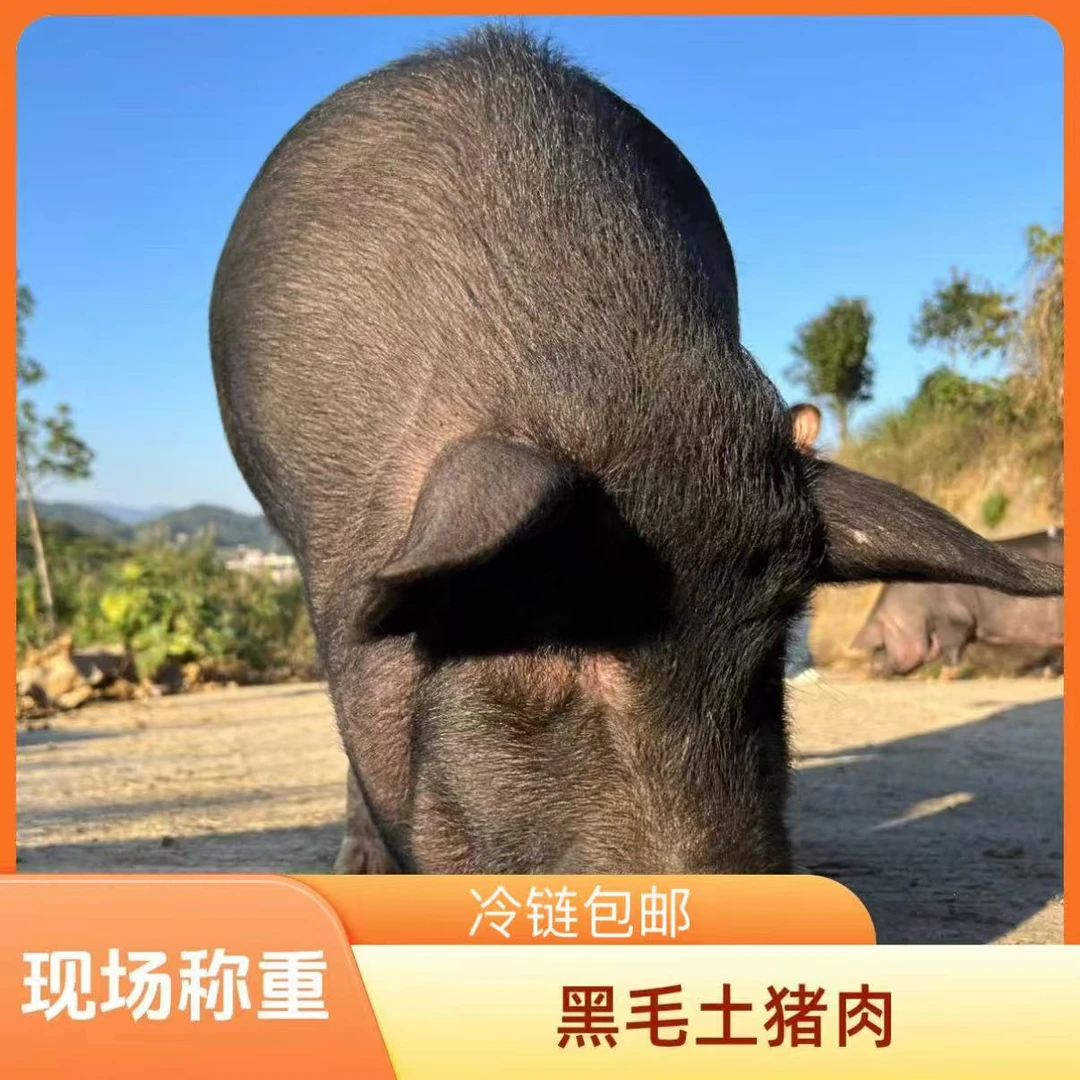黑毛土猪肉【现场称重】熟食土猪肉
