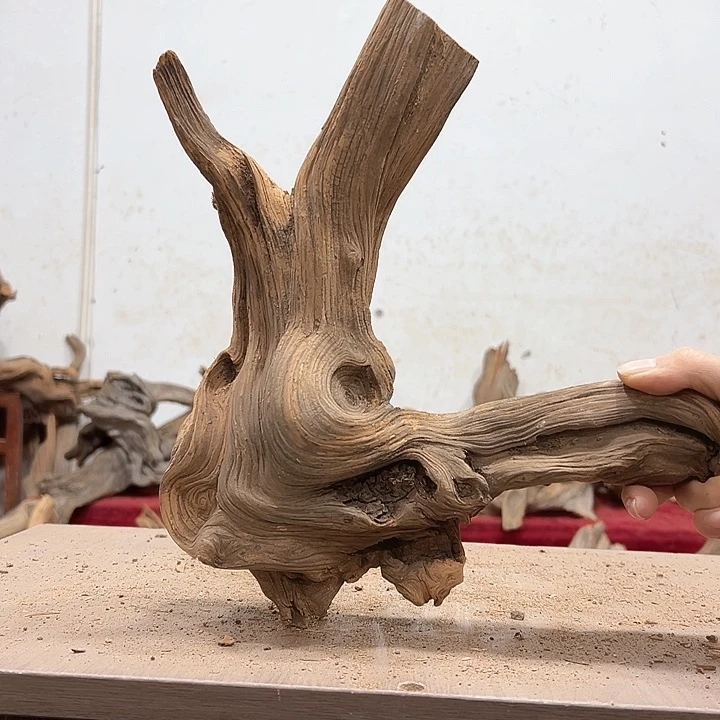 柏木林*大我们都是好孩子呀我也是