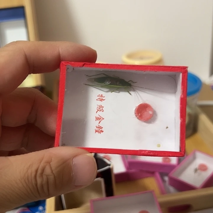刘***清橙杆杆哈哈哈哈哈