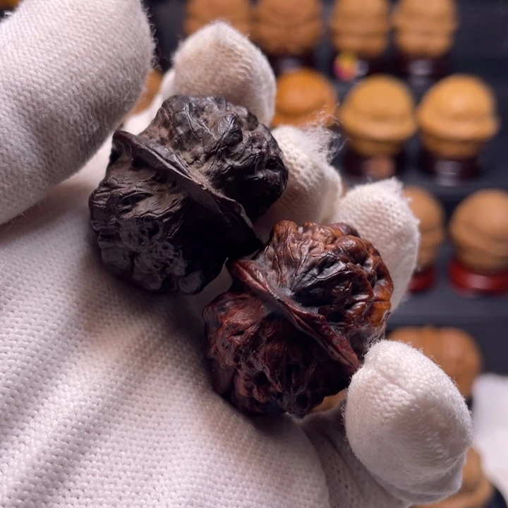 把件文玩核桃Y4血舍利32尺