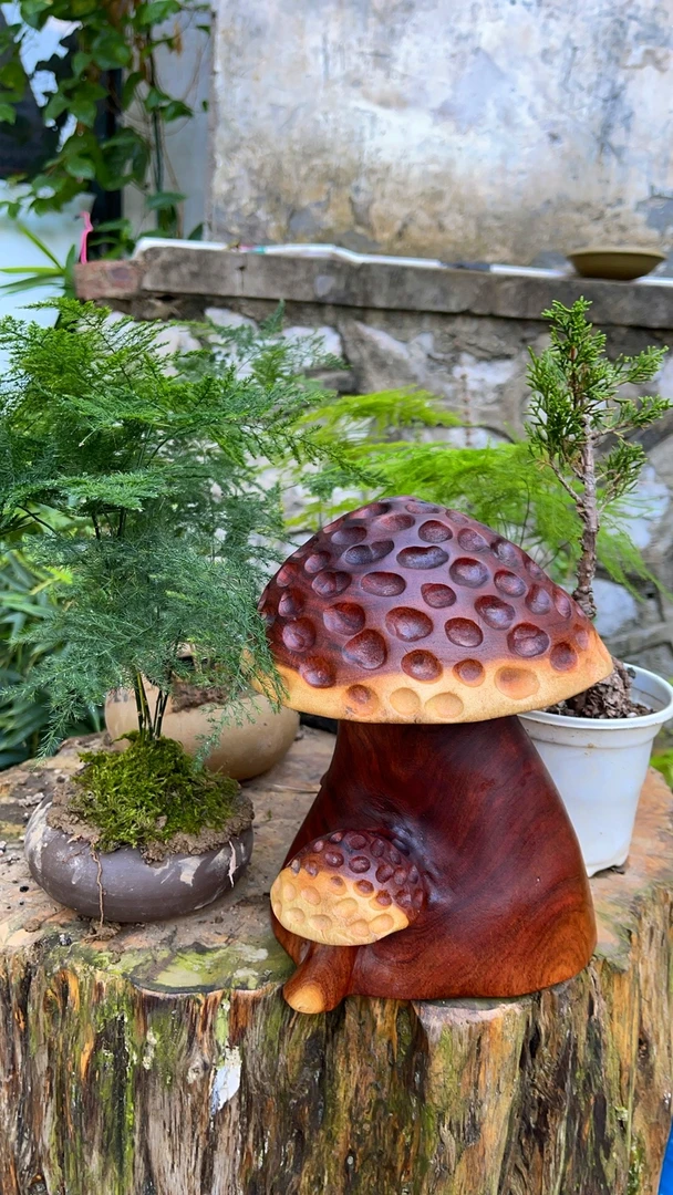 香樟木实木蘑菇摆件（一物一拍链接）